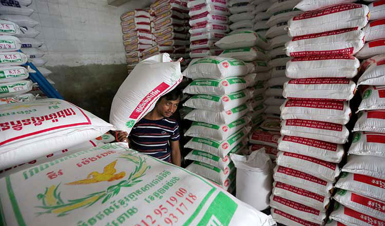 Cambodia nets $1.79 billion from rice exports